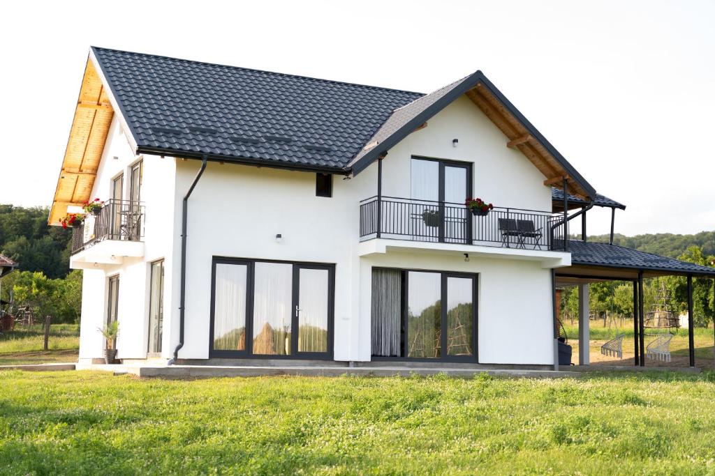 a white house with a black roof at Casa Andrei Guesthouse in Bărăşti