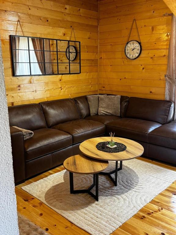 a living room with a leather couch and a table at Hanovi Apartments in Borje