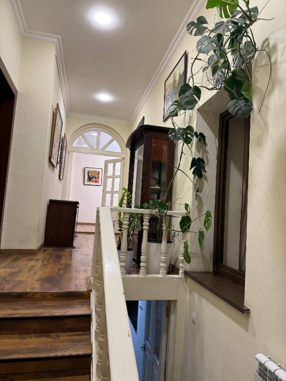 a hallway with stairs and potted plants on the wall at Просторный дом с садом in Qŭyliq