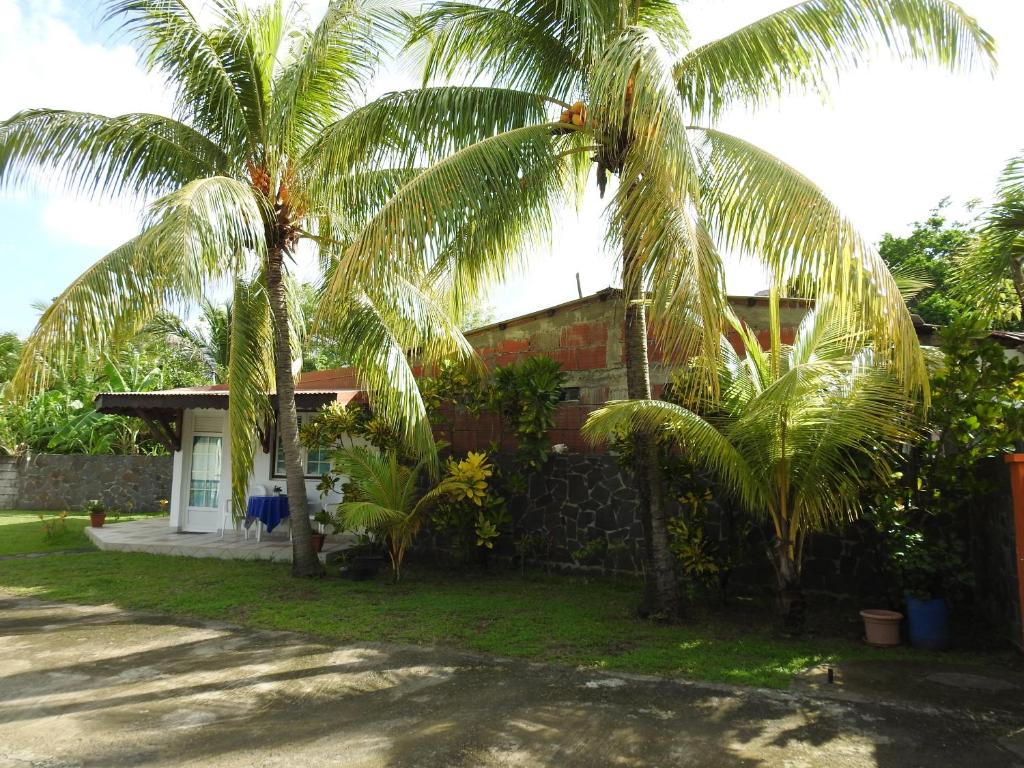 a house with two palm trees in front of it at Studio charmant à Le Robert - 17 m² avec Piscine partagée in Le Robert