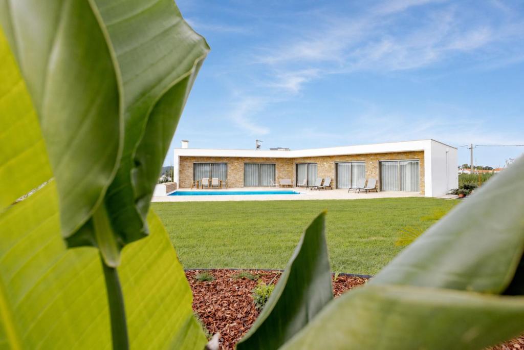 a large green plant in front of a building at Villa Flamingo - BY SCH in Nadadouro