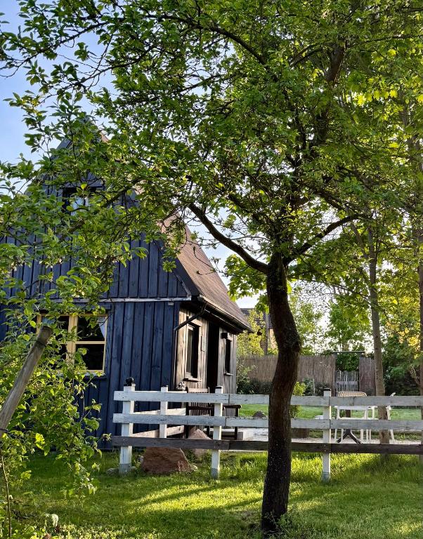a blue house with a white fence and a tree at Tiny House Gerswalde in Gerswalde