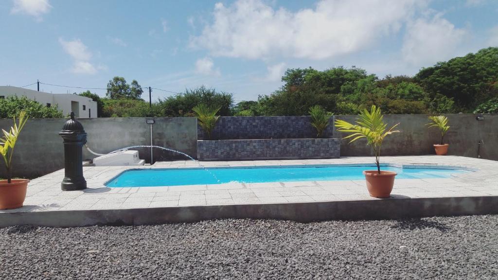 a swimming pool with potted plants next to a fence at Luxurious Villa in Pereybere with Pool in Pereybere