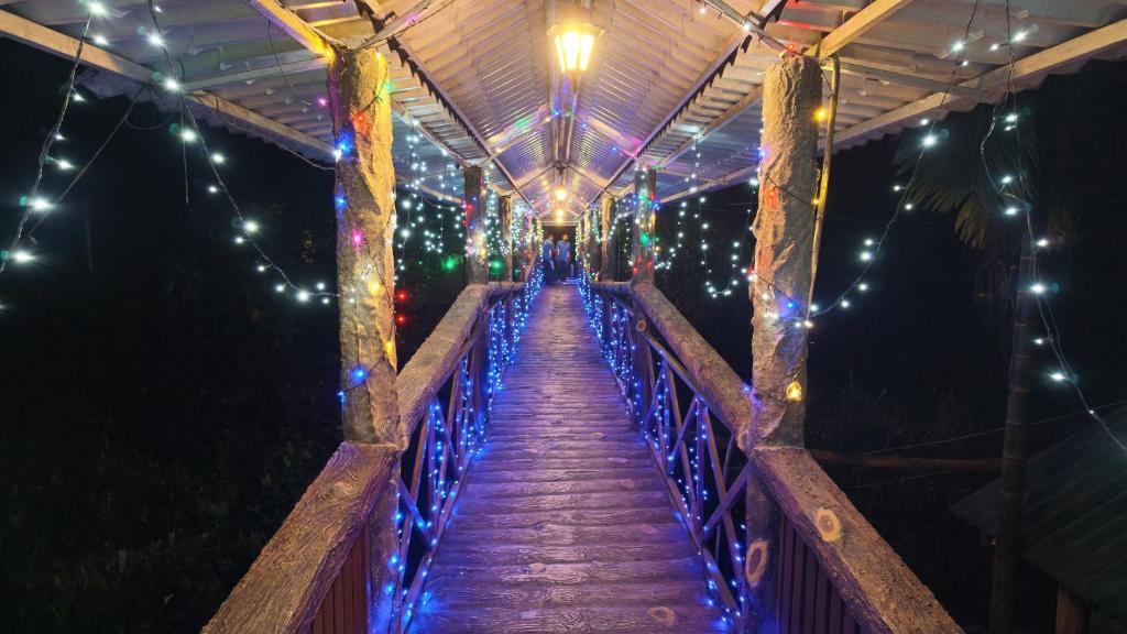 a wooden bridge with christmas lights on it at VRK Adventure Basecamp Sri Lanka in Kitulgala
