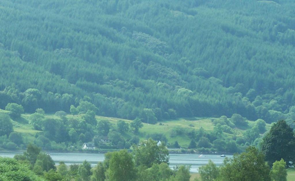 a view of a mountain with a river and trees at Feochan View in Oban