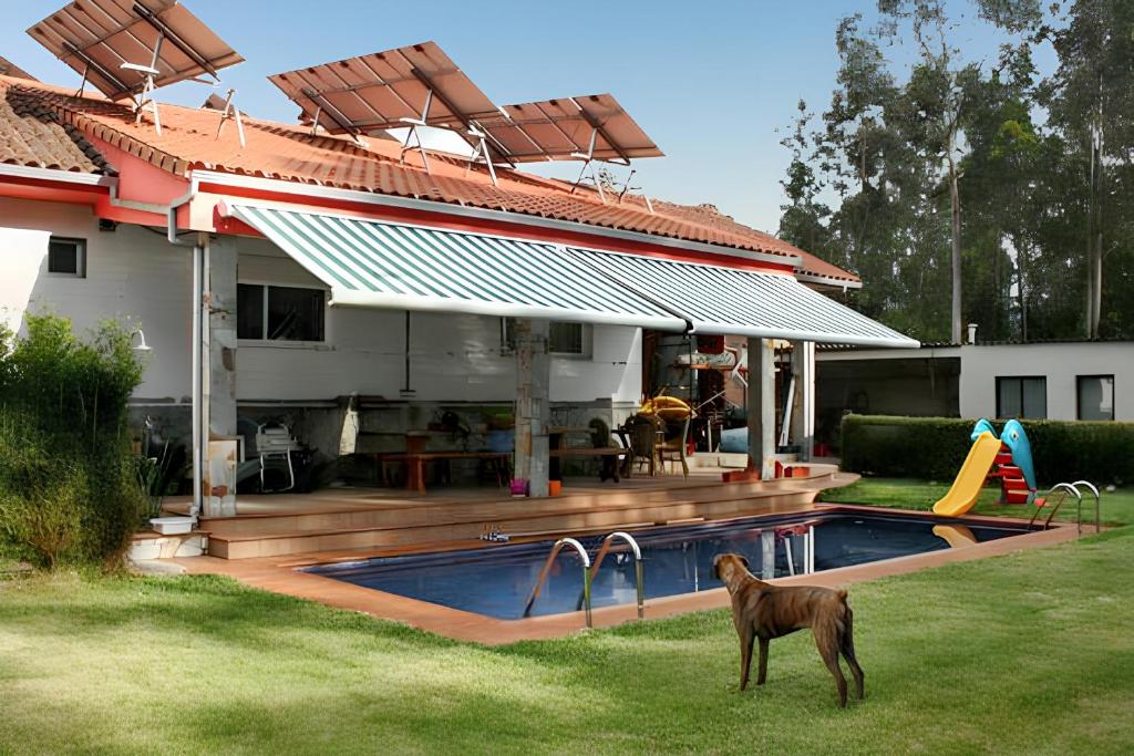 a dog standing in front of a house with a pool at Elegant Villa in Tui with Private Pool in Tui