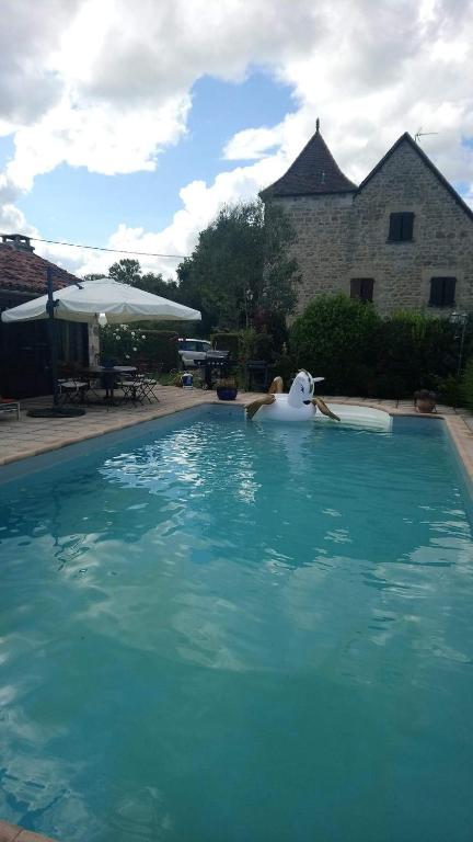 a pool with a rubber duck in the water at Studio charmant à Bio avec jardin et piscine partagée, 32 m². in Bio