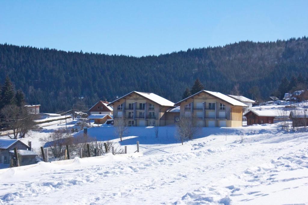 a group of houses in a snow covered village at Appartement accueillant à Xonrupt-Longemer 70 m² avec jardin privatif in Xonrupt-Longemer