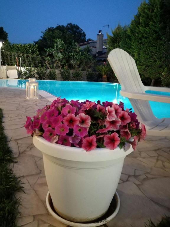 a white planter filled with flowers next to a pool at Comfortable Villa in Ragusa with Pool in Trecasuzze