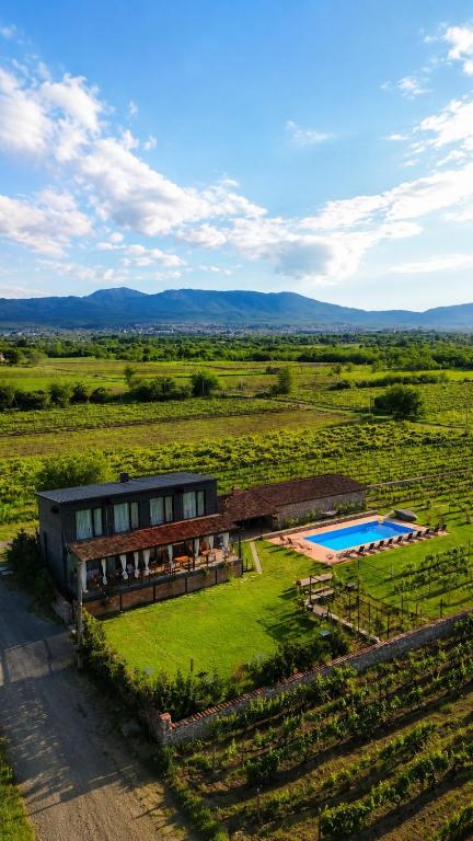 an aerial view of a house with a swimming pool at Chateau Resse in Telavi