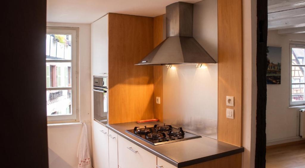 Appartement cosy avec cheminée à Eguisheim - 110m² - Terrasse – photo 4