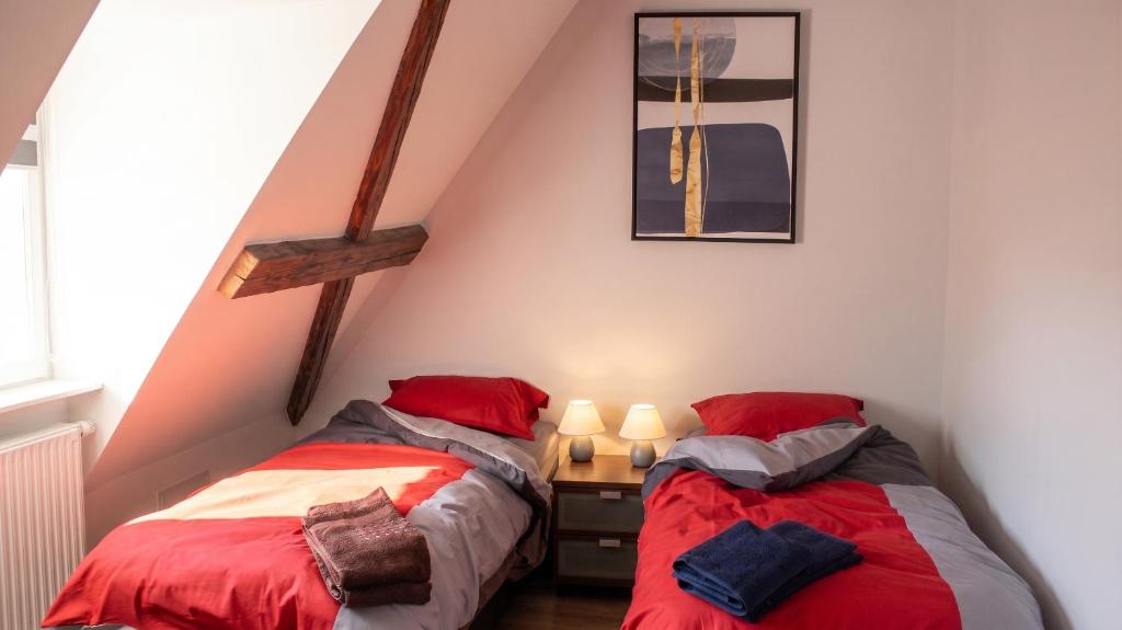 Appartement cosy avec cheminée à Eguisheim - 110m² - Terrasse – photo 7