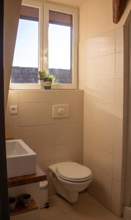 Appartement cosy avec cheminée à Eguisheim - 110m² - Terrasse – photo 12