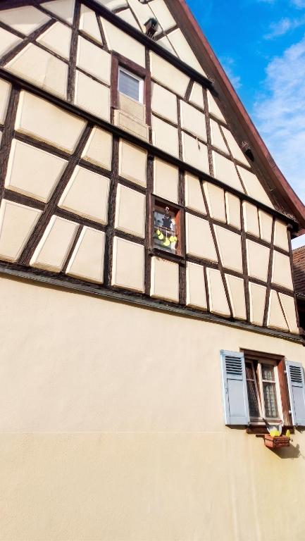 Appartement cosy avec cheminée à Eguisheim - 110m² - Terrasse – photo 13