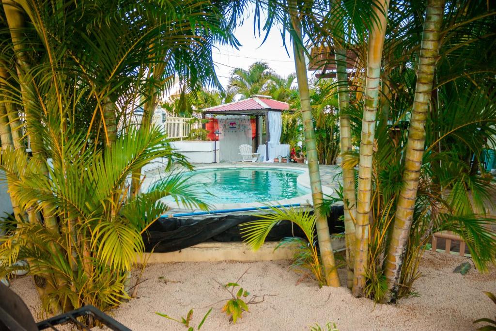 a swimming pool in the middle of some palm trees at Spacious apartment in Pereybere, 100 m² with shared pool in Pereybere