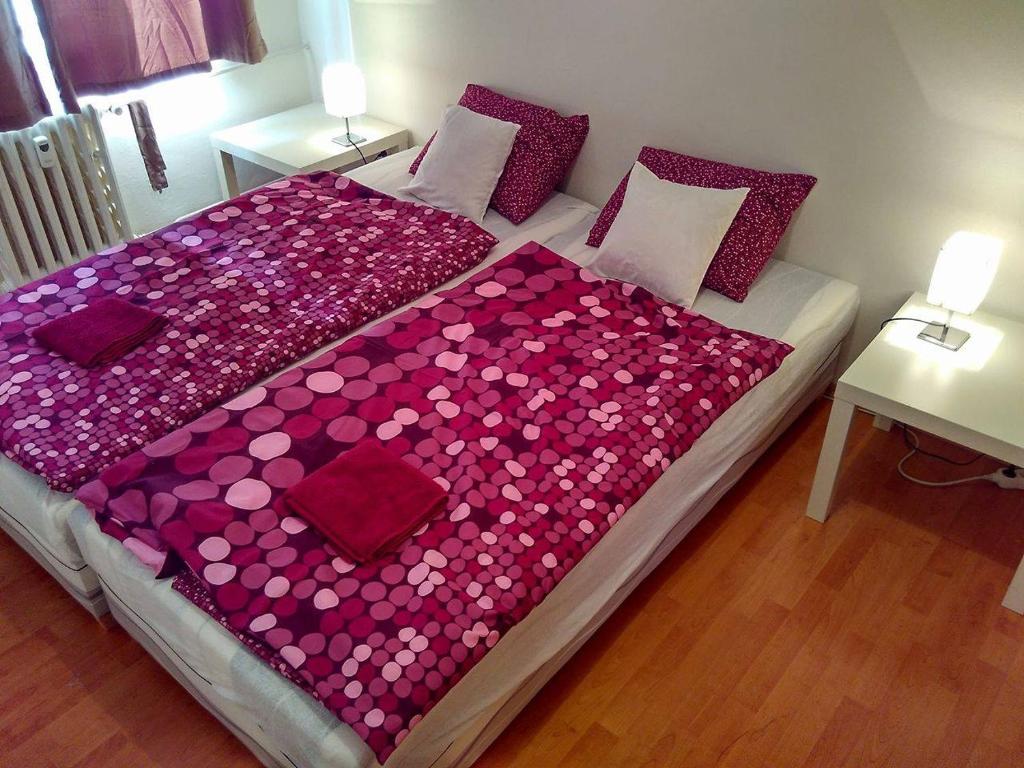 プラハにあるCozy apartment Palmovkaのベッドルーム(紫の毛布を使用した大型ベッド1台付)