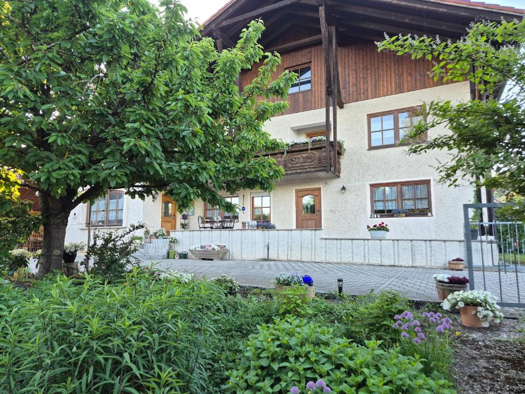 a house with a tree in front of it at Haus am Gschlößlweg in Kelheim