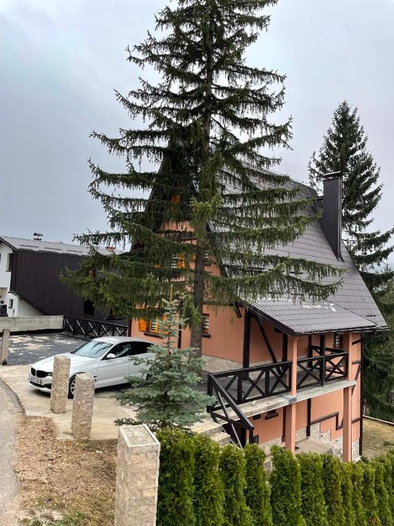 a large pine tree in front of a building at Vikendica Hills Vlašić in Šišava