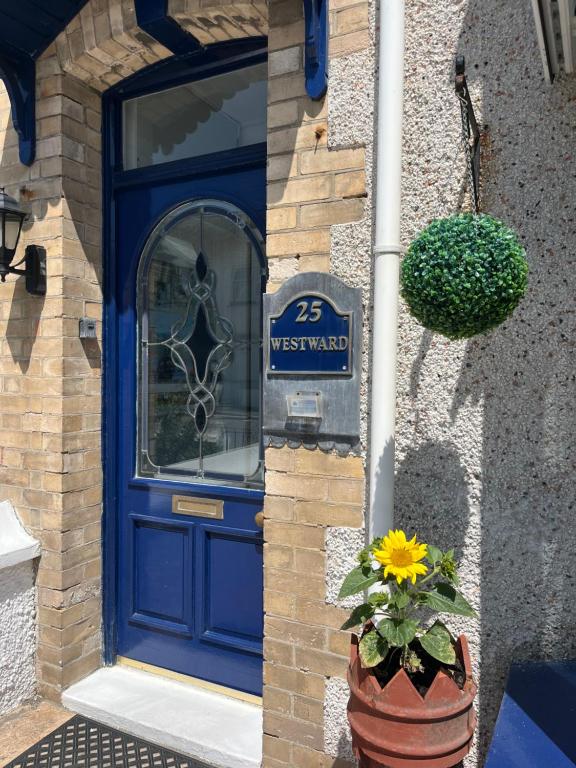 a blue door with a flower in a pot at Westward B&B in Newquay