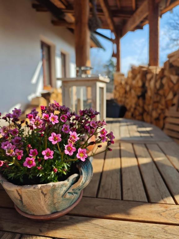 a vase filled with pink flowers sitting on a table at Apartmány pod Kozákem in Velké Popovice