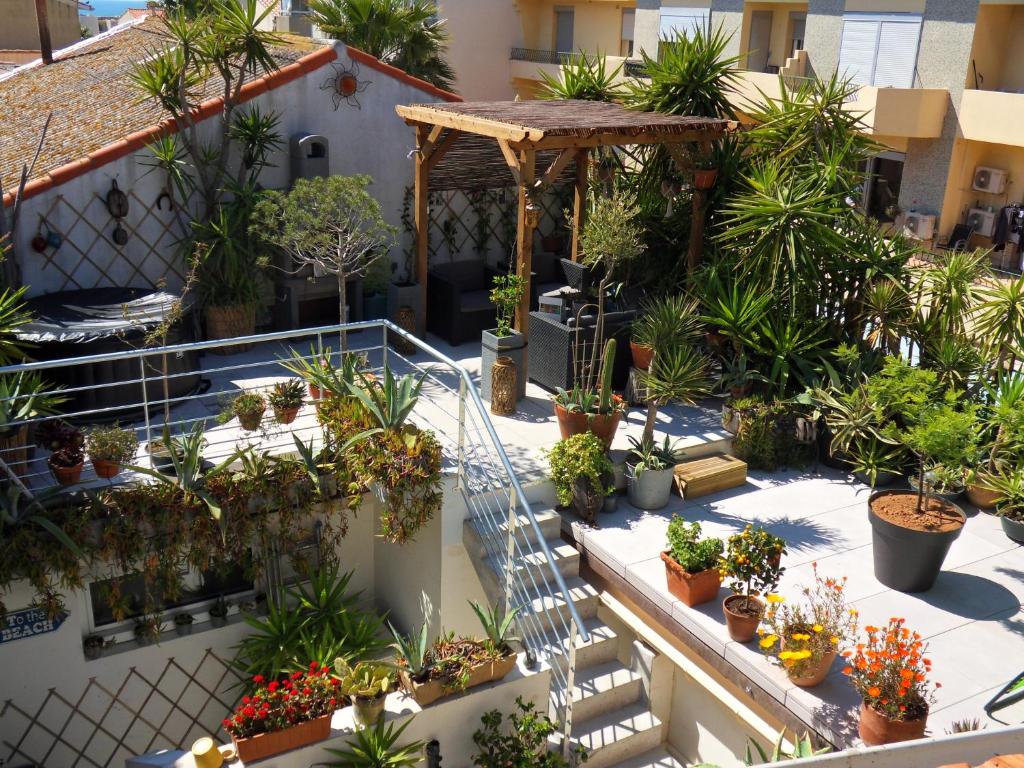 an indoor garden on a building with potted plants at SETE BELLE MAISON DE VILLE 121 m2 A 2 mn DE LA PLAGE et SPA in Sète