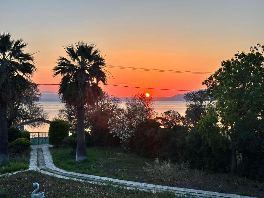 a sunset with a palm tree and a road at Gate to the blue in Áyioi Apóstoloi