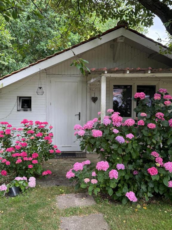 a small house with pink flowers in front of it at LE CHALET de LA LONGERE in Beuvry-Nord
