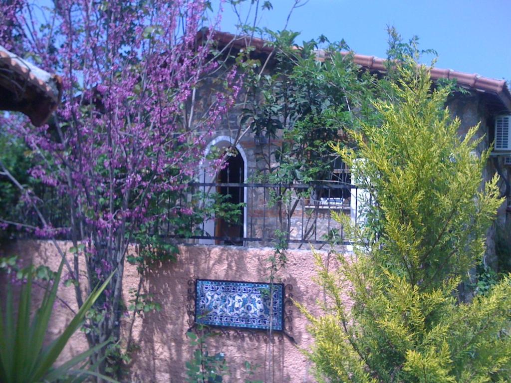 un edificio con ventana y algunas plantas en Fig Garden Cottages, en Kayakoy
