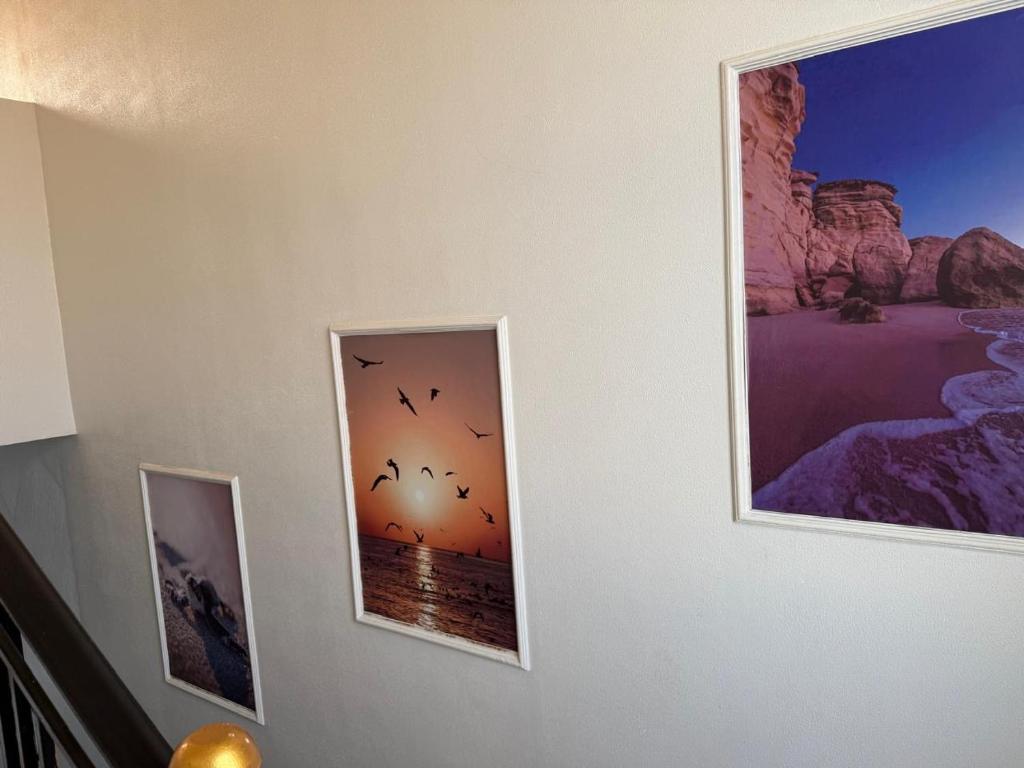 two pictures on a wall with birds in a mirror at Sea Breeze Ras Al Hadd in Sur