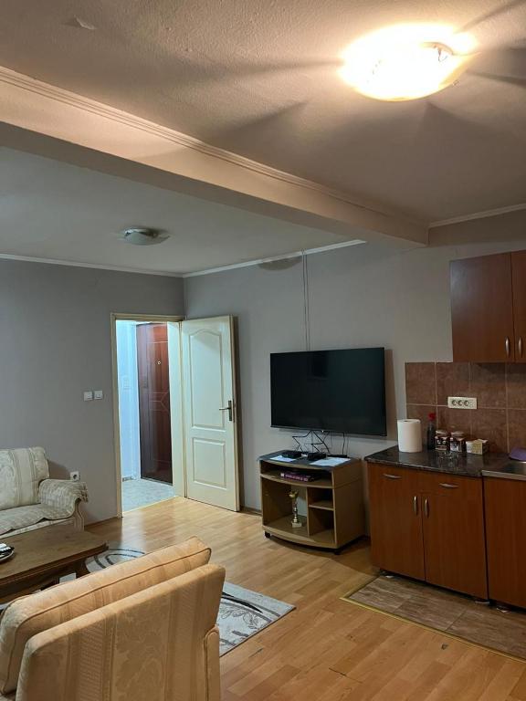 a living room with a couch and a flat screen tv at Mate Apartmani in Bijelo Polje