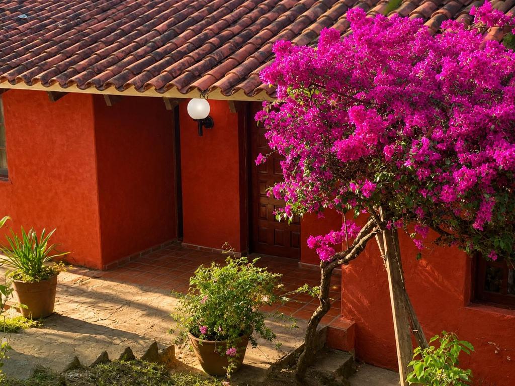 a tree with pink flowers in front of a house at Valle Verde Lodge - Vista in Samaipata