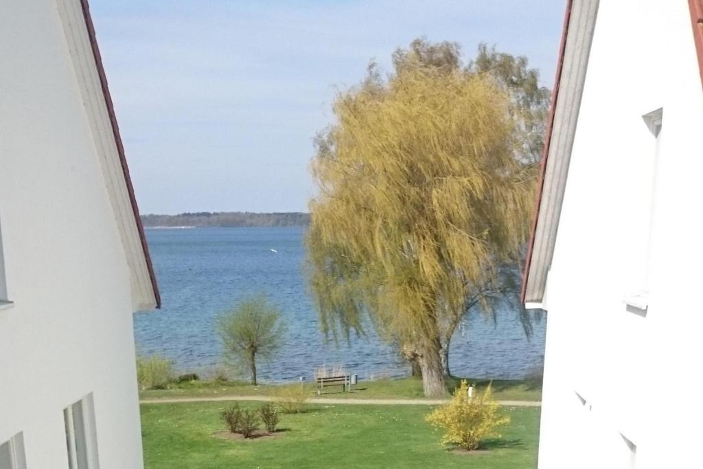 a view of the water from a window at Am Seeufer 60 Fewo 605 in Waren