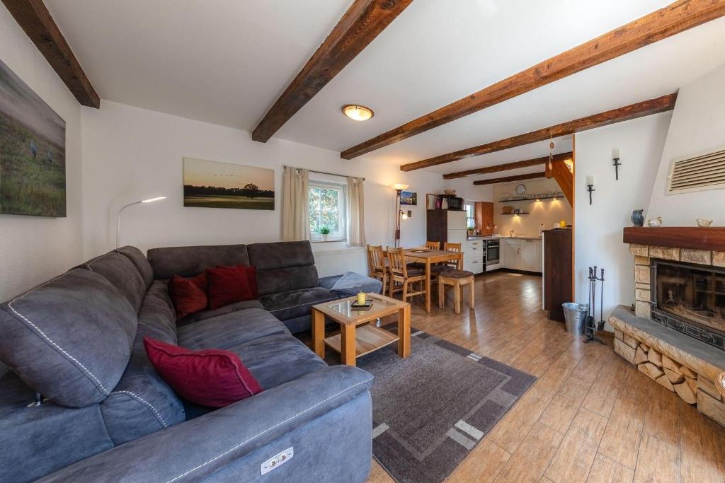 a living room with a couch and a fireplace at Ferienhaus Loppin in Jabel