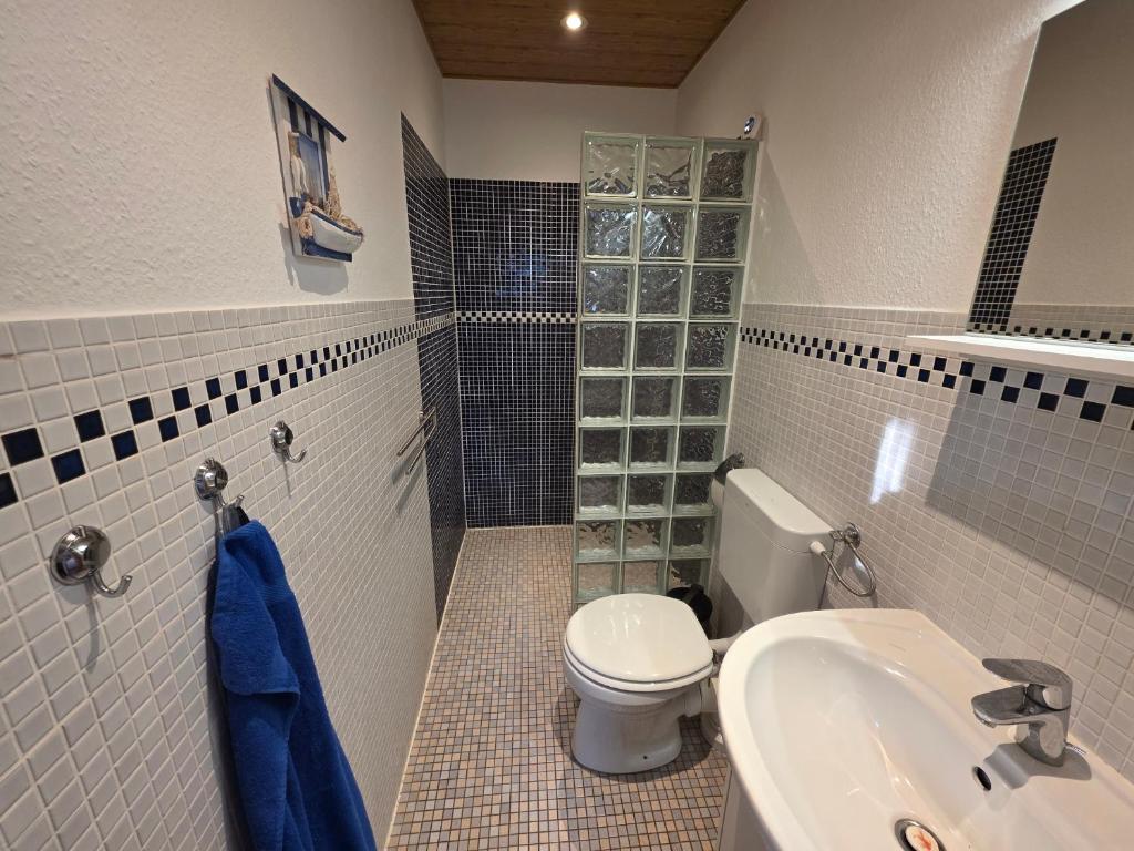 a bathroom with a toilet and a sink at Ferienwohnung Seedorf in Basedow