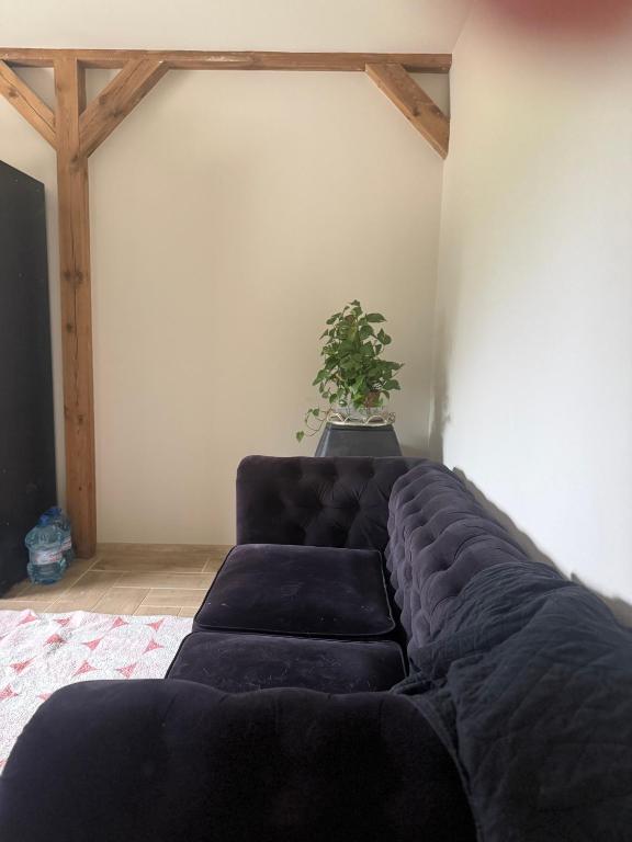 a black couch in a room with a potted plant at Chill and Grill Apartment in Wola Smolana