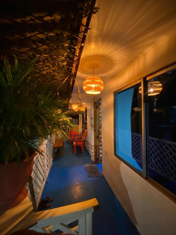 a hallway of a house with a potted plant and lights at Ramos de mar in Rincón