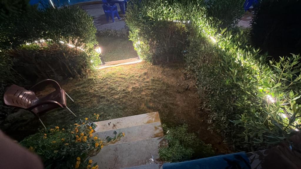 a garden with a bench and some bushes and lights at Oraby house in Al Ḩammām
