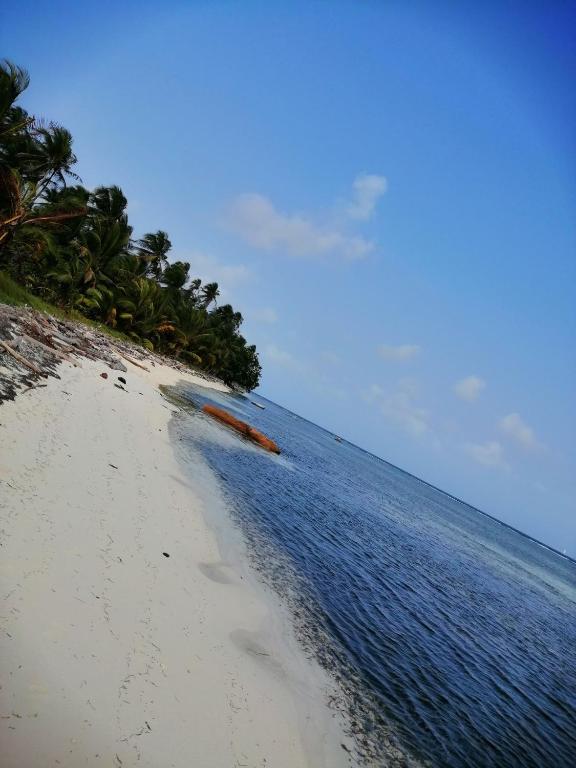 a sandy beach with palm trees and the ocean at Isla Ganirdub in Río Azúcar
