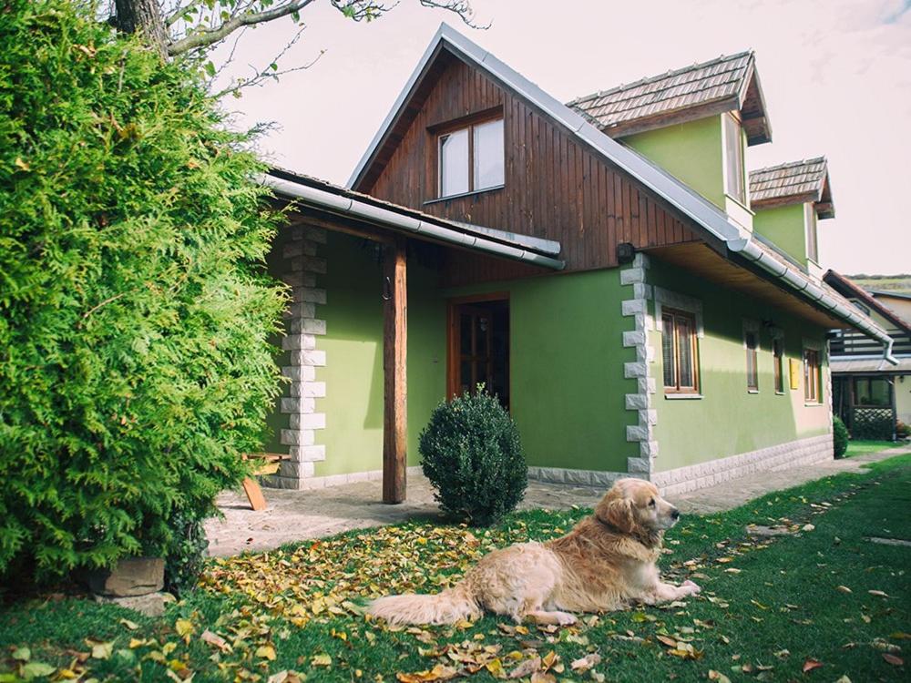 a dog laying in the grass in front of a house at Zelená chalúpka a Zelený domček in Hrabušice