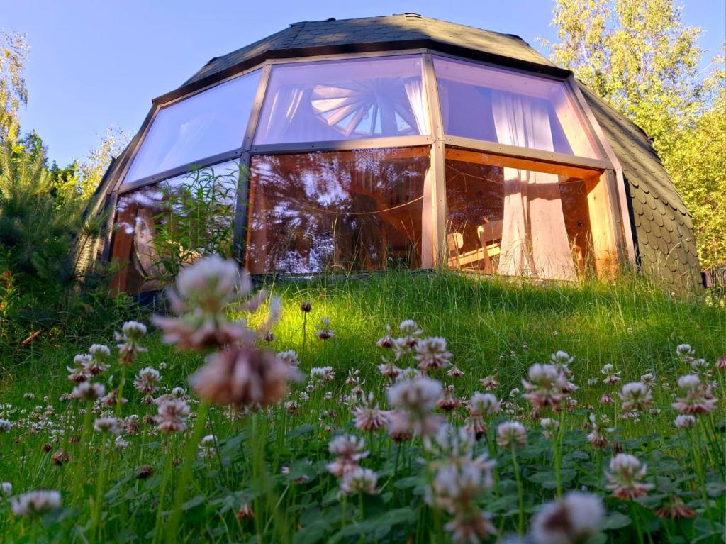 a glass dome in a field of grass with flowers at Ostoja Szumilas in Kąsna Górna