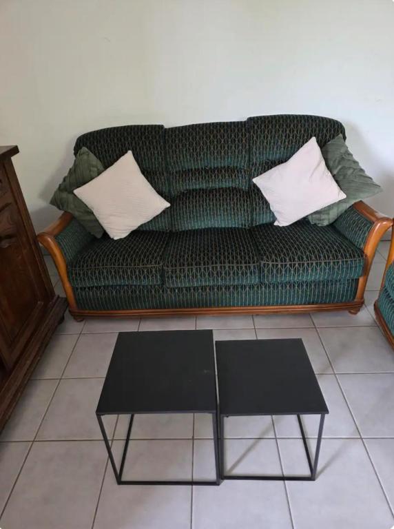 a green couch with two pillows and a coffee table at Pierre de lumiere in Toulouse