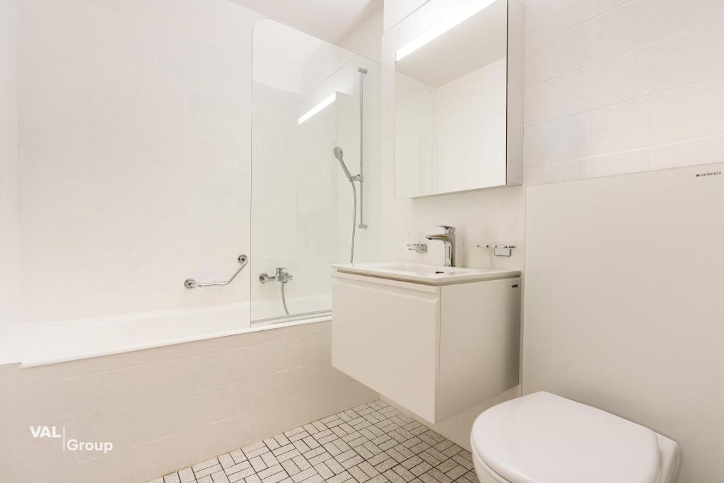 2,5 Zimmer Wohnung Mayenzett zentral mit Balkon