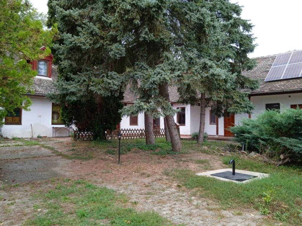 a house with a tree in front of it at Nimród vendégház in Mőcsény