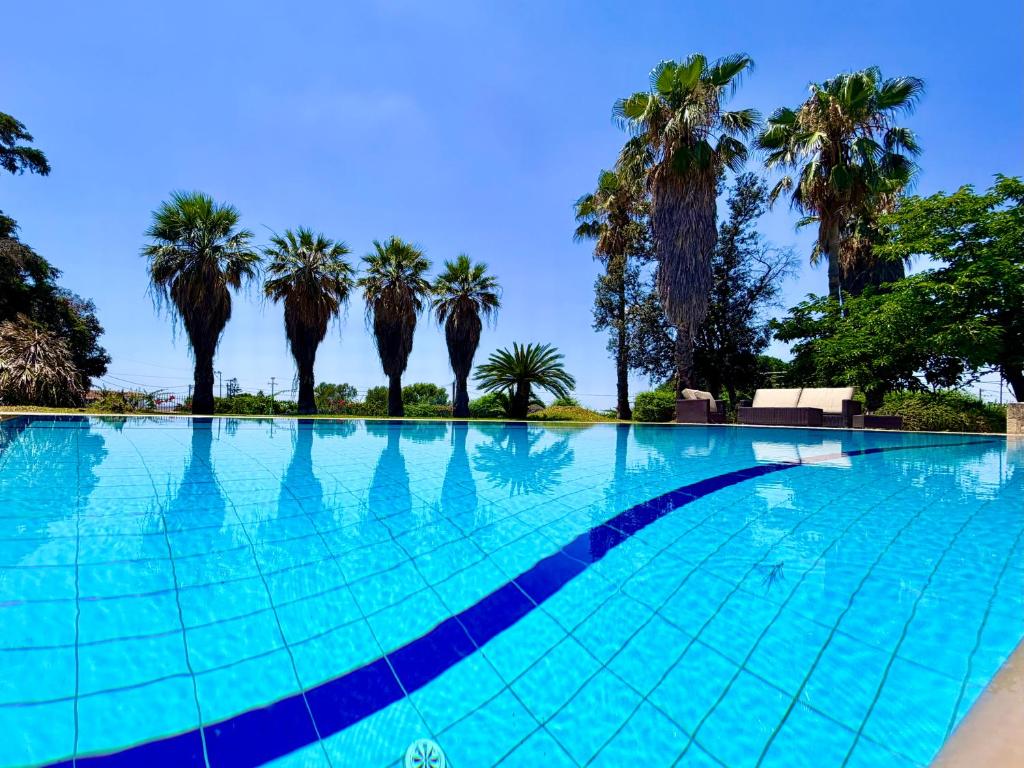a swimming pool with palm trees in the background at Palm Villa Ammes in Svoronata
