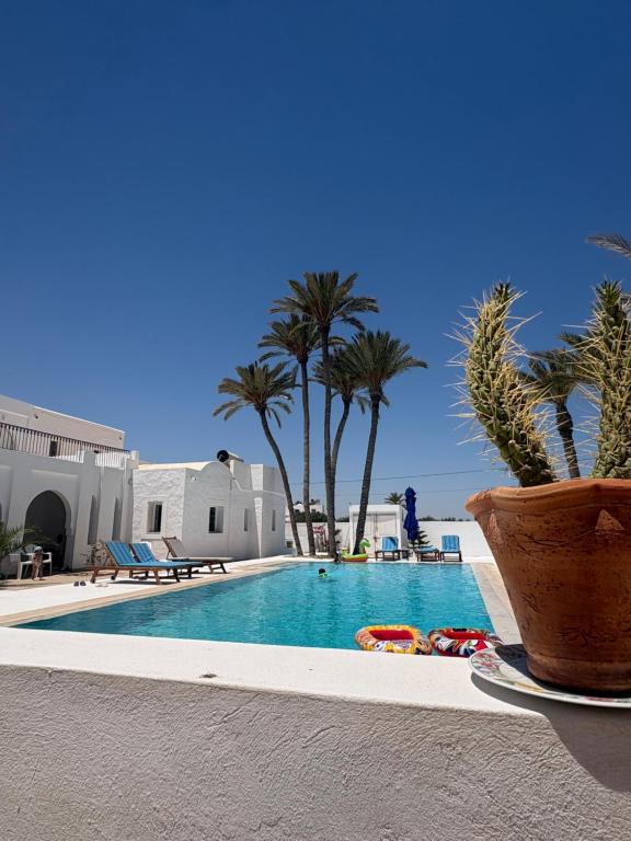 a swimming pool with palm trees in the background at Maison Rachid Djerba in El Guecheïne