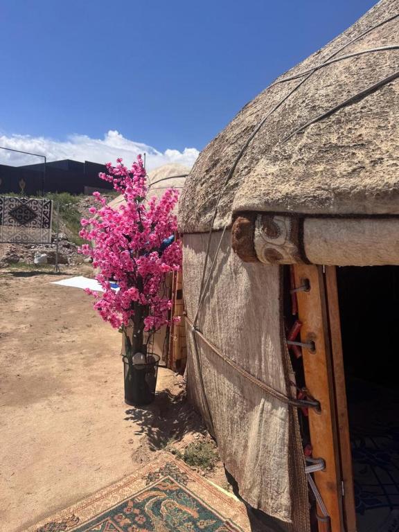 a vase with pink flowers sitting next to a building at Almani yurt camp in Tong