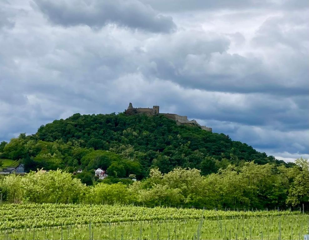 a castle on top of a hill with a vineyard at Horváth Apartmanház in Szigliget