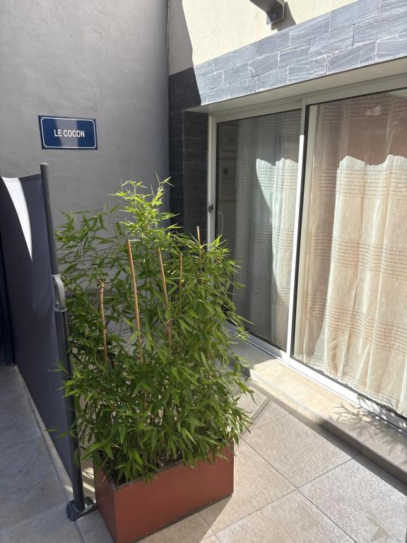 Cocon et sa terrasse