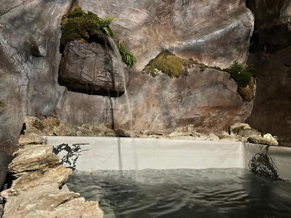 a pool of water in a rock wall at Villa LEA in Ratkovské Bystré