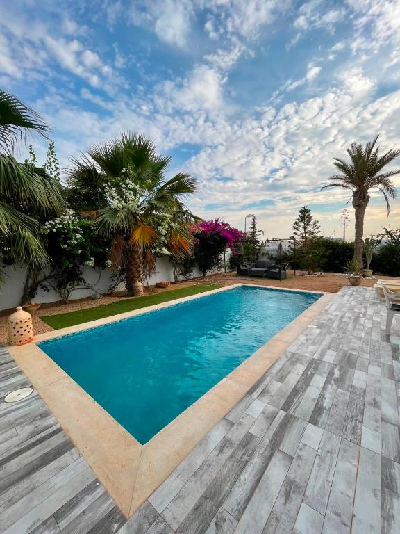 a swimming pool in a backyard with palm trees at Dar ZYED in Houmt Souk